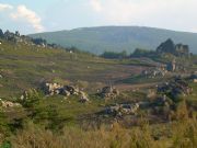 Paisaje a 2 Km de la Estacin de Montaa de Manzaneda, Orense